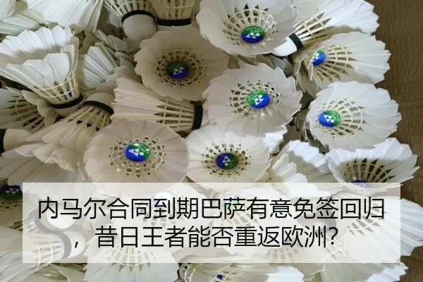 nei-ma-er-he-tong-dao-qi-ba-sa-you-yi-mian-qian-hui-gui-xi-ri-wang-zhe-neng-fou-chong-fan-ou-zhou-2-369.jpg
